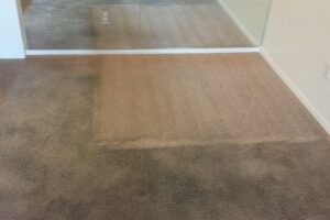 carpet-deep-cleaning-before-after-patch-1