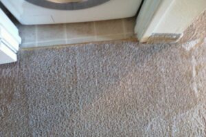 carpet stain - after
