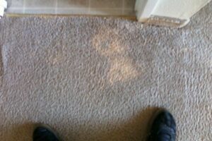 carpet stain - before