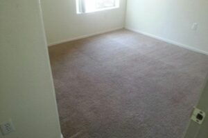 end-of-lease-carpet restoration-after