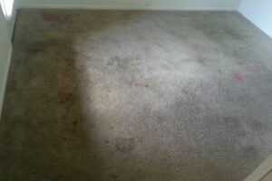 end-of-lease-carpet restoration-before-1