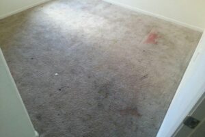end-of-lease-carpet restoration-before-2